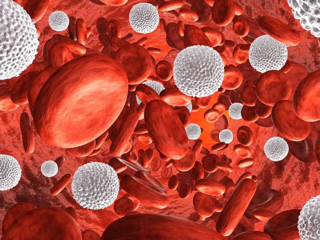 زيادة عدد خلايا الدم الحمراء